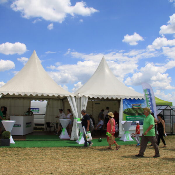 Dni pola 2022 Dolna Krupa 2