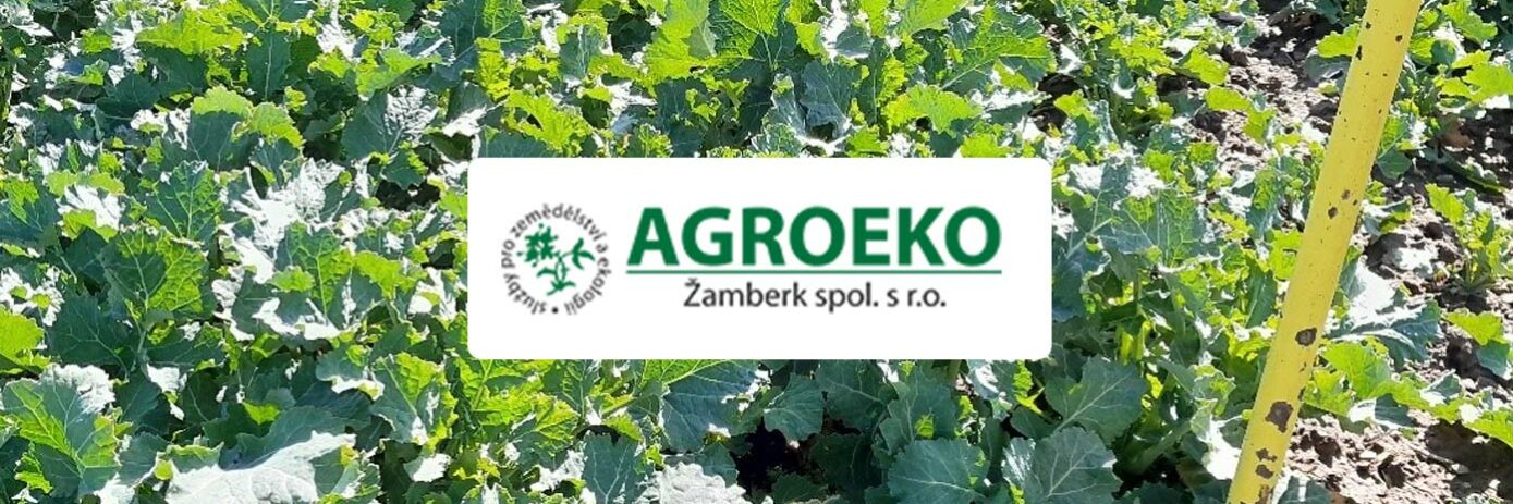 repka–clanok–azoter