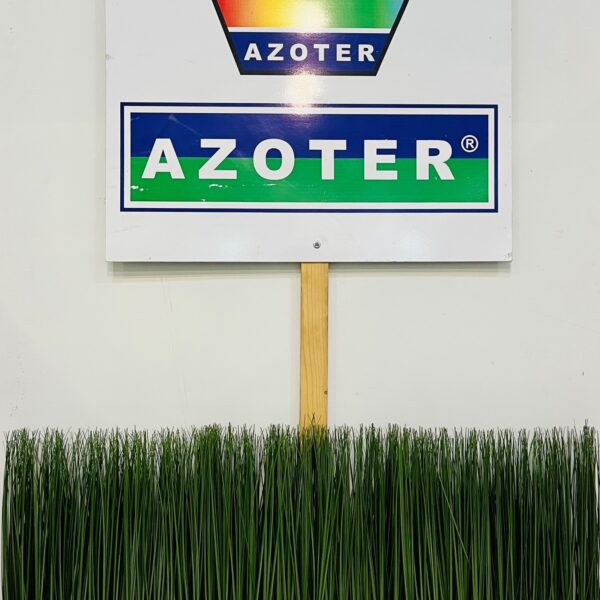 ROMEXPO INDAGRA Букурещ 202215